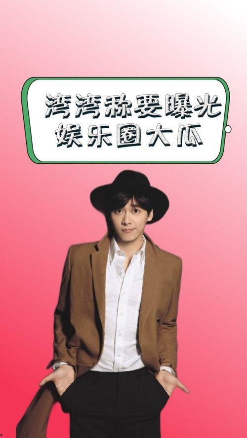 湾湾爆料娱乐圈,娱乐圈幕后真相大揭秘